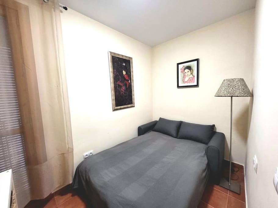 Flamenco, Apartamento Exclusivo De Dos Habitaciones En El Pleno Del Casco Antiguo, Alicante, Playa, Centro Historico, Rambla ภายนอก รูปภาพ