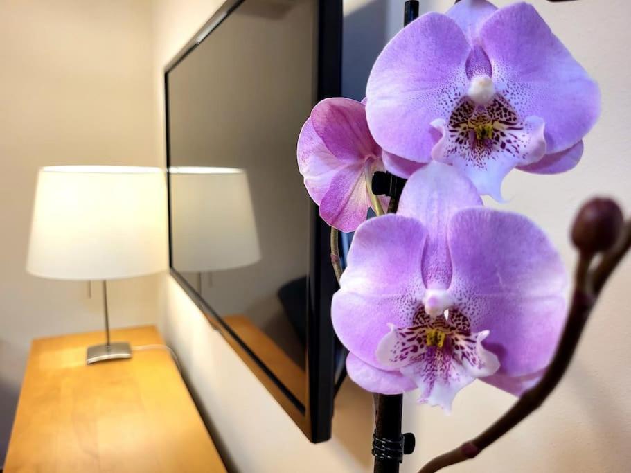 Flamenco, Apartamento Exclusivo De Dos Habitaciones En El Pleno Del Casco Antiguo, Alicante, Playa, Centro Historico, Rambla ภายนอก รูปภาพ